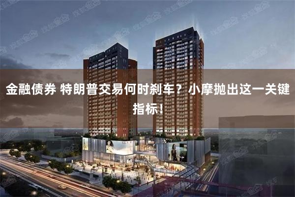 金融债券 特朗普交易何时刹车？小摩抛出这一关键指标！