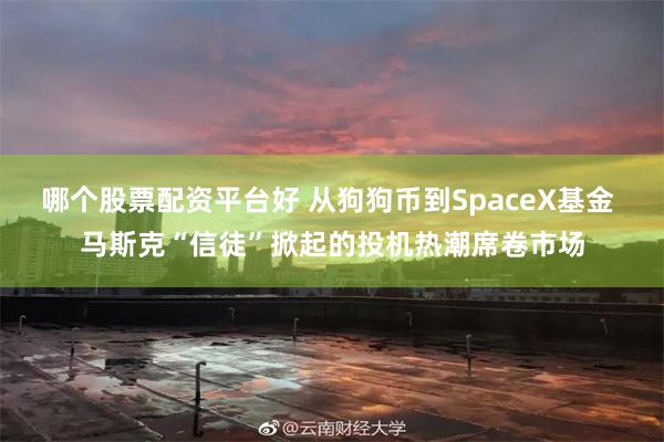 哪个股票配资平台好 从狗狗币到SpaceX基金 马斯克“信徒”掀起的投机热潮席卷市场
