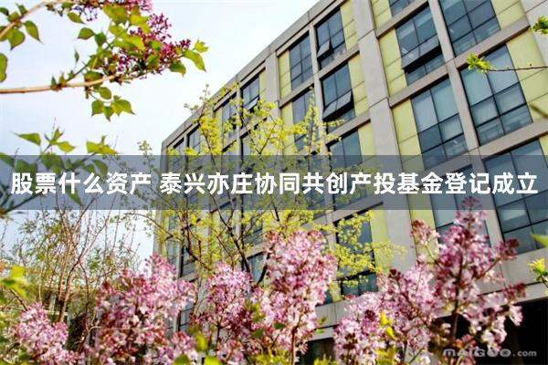 股票什么资产 泰兴亦庄协同共创产投基金登记成立