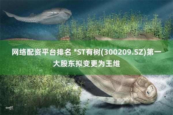 网络配资平台排名 *ST有树(300209.SZ)第一大股东拟变更为王维