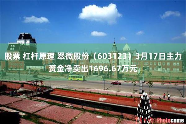 股票 杠杆原理 翠微股份（603123）3月17日主力资金净卖出1696.67万元
