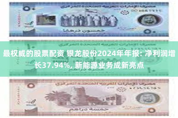 最权威的股票配资 银龙股份2024年年报: 净利润增长37.94%, 新能源业务成新亮点