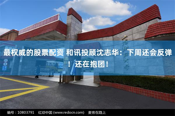 最权威的股票配资 和讯投顾沈志华：下周还会反弹！还在抱团！