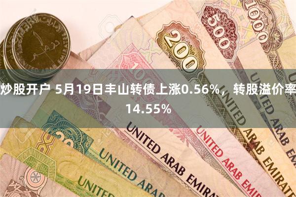 炒股开户 5月19日丰山转债上涨0.56%，转股溢价率14.55%