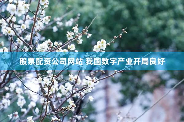 股票配资公司网站 我国数字产业开局良好
