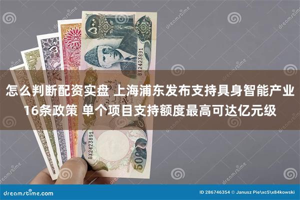 怎么判断配资实盘 上海浦东发布支持具身智能产业16条政策 单个项目支持额度最高可达亿元级