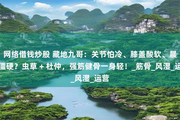 网络借钱炒股 藏地九哥：关节怕冷、膝盖酸软、晨起僵硬？虫草 + 杜仲，强筋健骨一身轻！_筋骨_风湿_运营