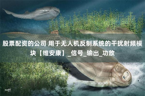 股票配资的公司 用于无人机反制系统的干扰射频模块【维安康】_信号_输出_功放