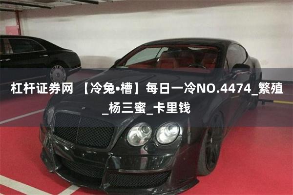 杠杆证券网 【冷兔•槽】每日一冷NO.4474_繁殖_杨三蜜_卡里钱