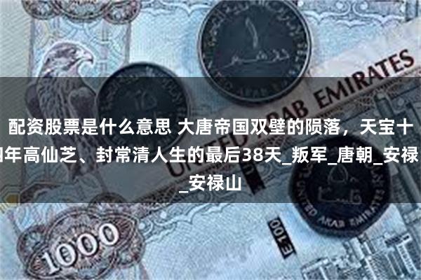 配资股票是什么意思 大唐帝国双壁的陨落，天宝十四年高仙芝、封常清人生的最后38天_叛军_唐朝_安禄山
