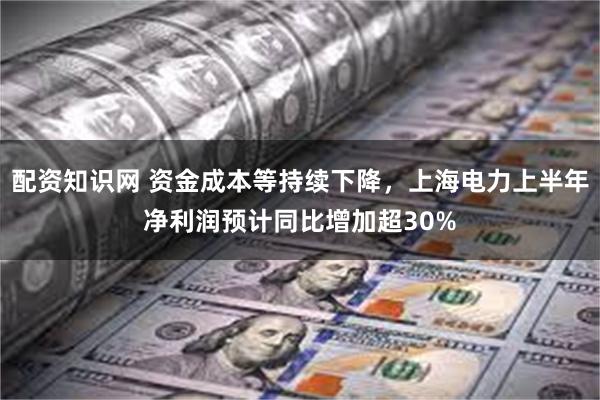 配资知识网 资金成本等持续下降，上海电力上半年净利润预计同比增加超30%