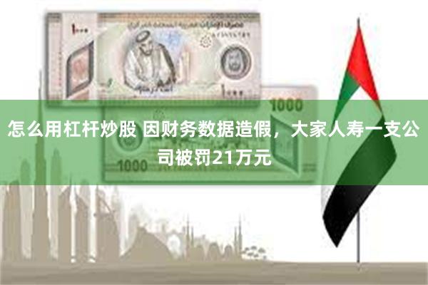 怎么用杠杆炒股 因财务数据造假，大家人寿一支公司被罚21万元