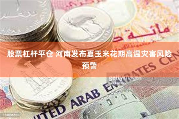 股票杠杆平仓 河南发布夏玉米花期高温灾害风险预警
