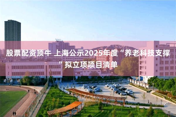 股票配资顶牛 上海公示2025年度“养老科技支撑”拟立项项目清单