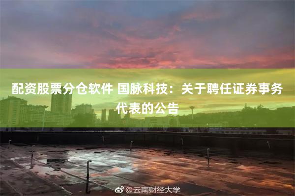 配资股票分仓软件 国脉科技：关于聘任证券事务代表的公告